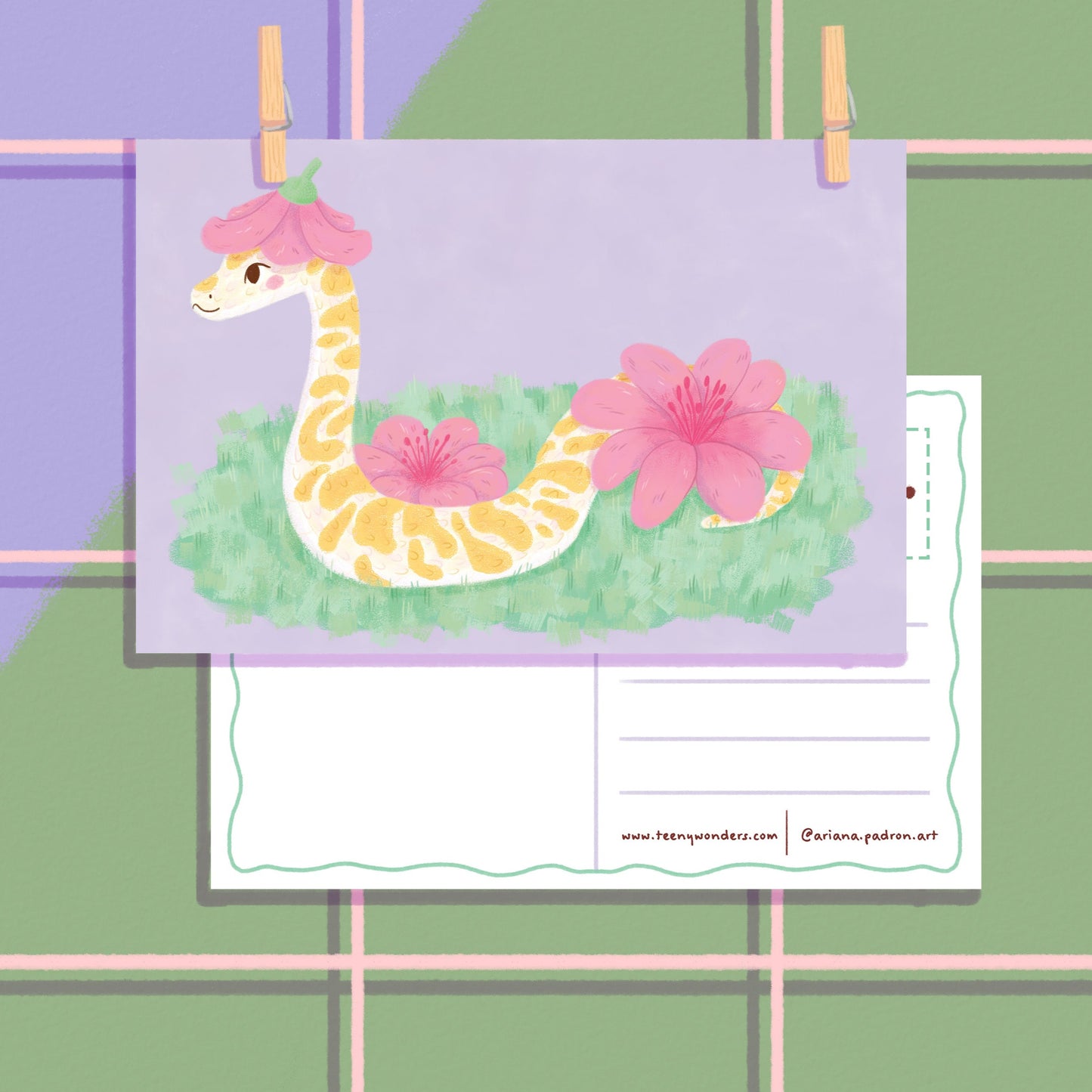 The Chinese Zodiac Postcards